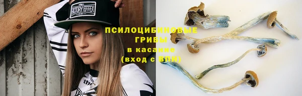 гидра Абдулино