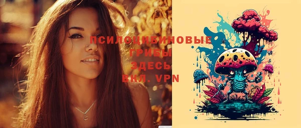 гидра Абдулино